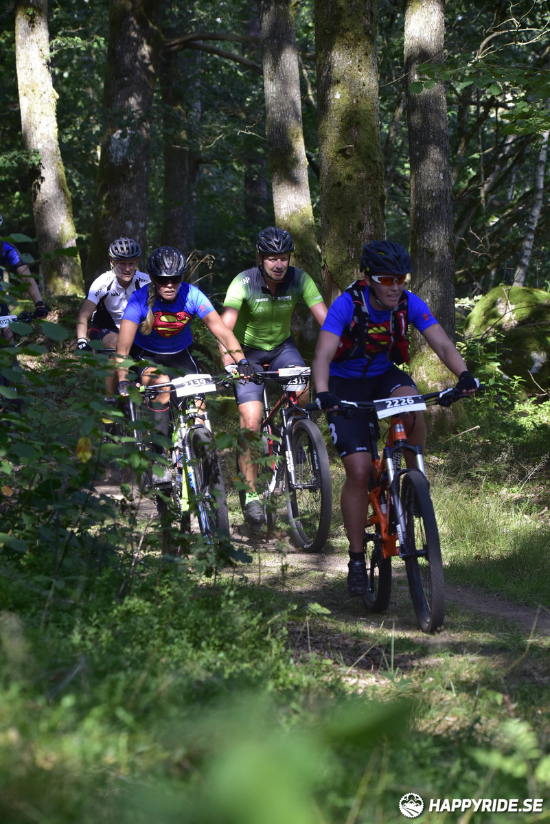 Bild från Bockstensturen 2019